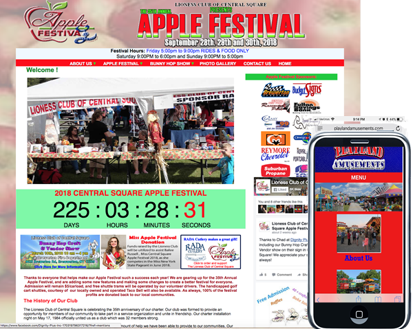 Lioness Club of Central Square Apple Festival